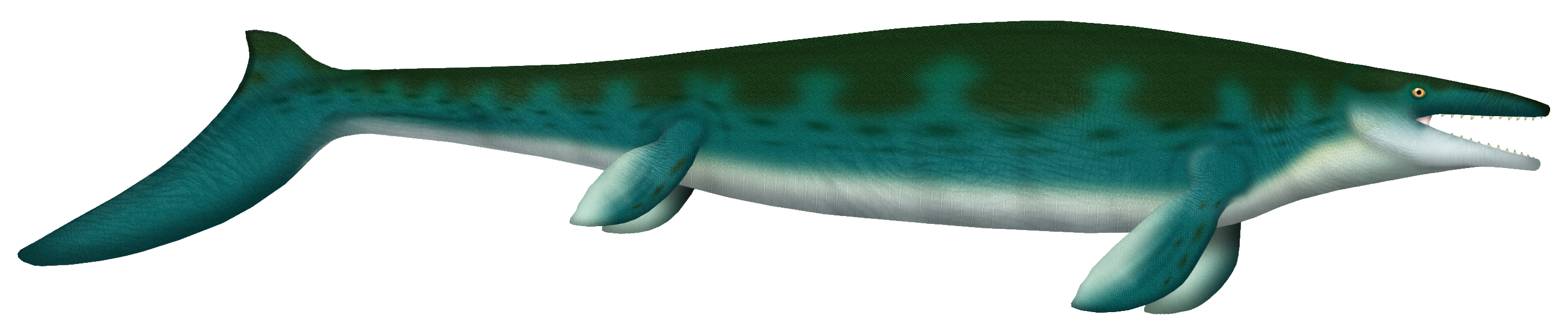 Mosasaurus