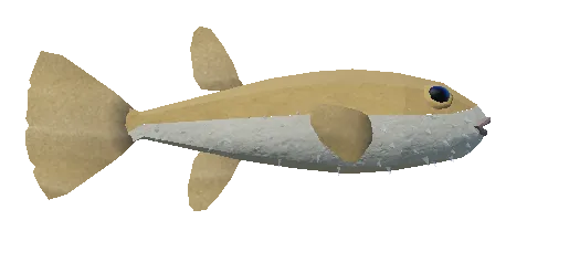 Pufferfish