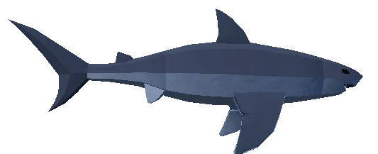 Shark