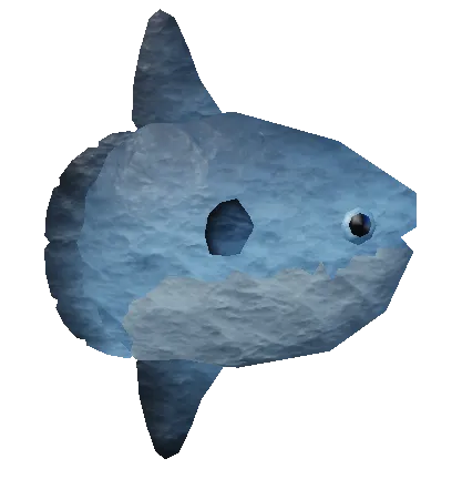 Sunfish