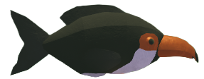 Toucan Fish