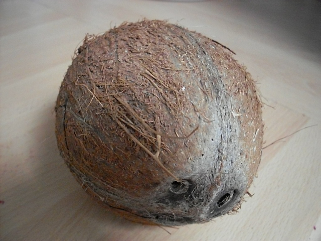 Coconut Geode