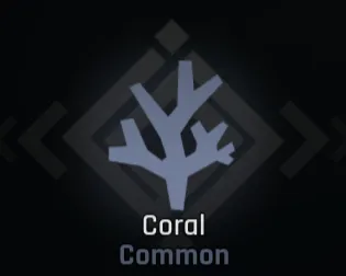 Coral Race